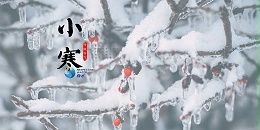 今日小寒，尊水提醒您注意保暖防寒，健康饮水！