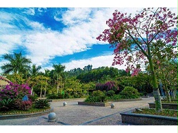 尊水直饮水入驻攀枝花市西区街道河门口街道办事处（二）